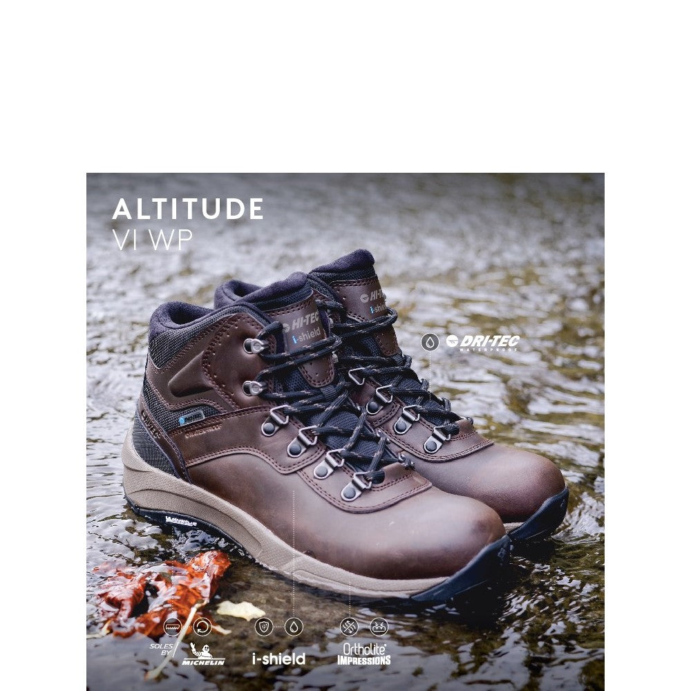 Mens Altitude VI Boots